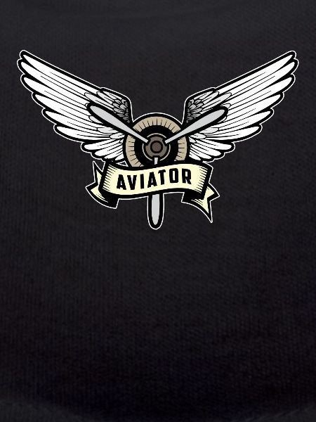 Pilot aviator