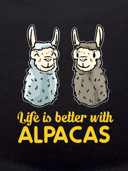 alpaca