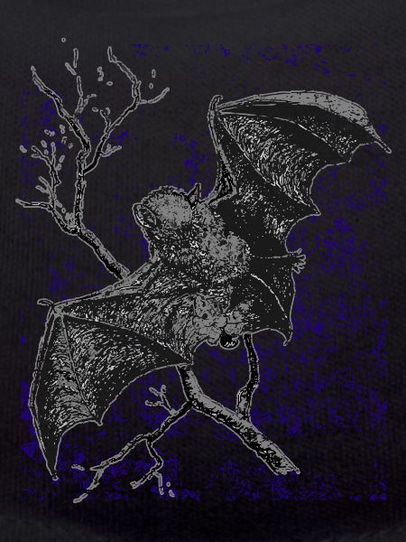 Fledermaus Vampir