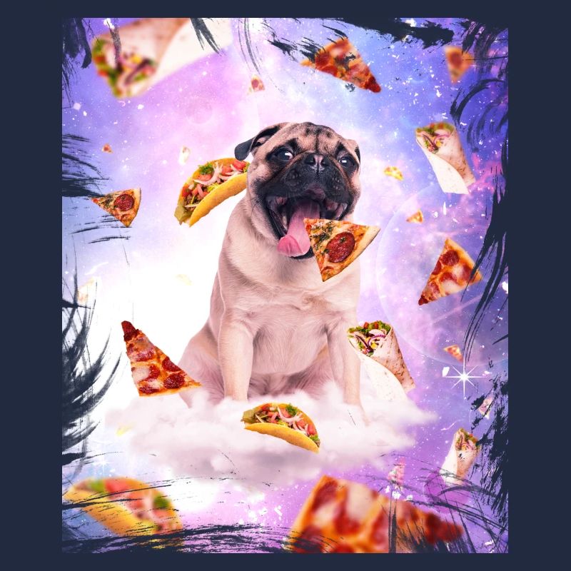Pug Galaxy Tacos Pizza Burrito Gift Idea Dog
