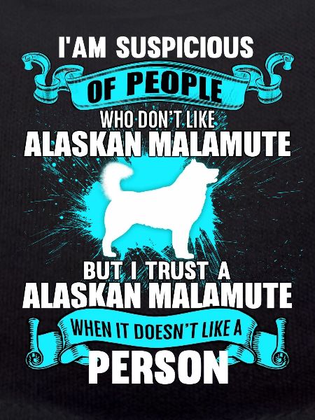 Alaskan Malamute
