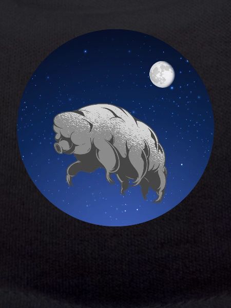 Tardigrade eau ours ecdysozoa espace