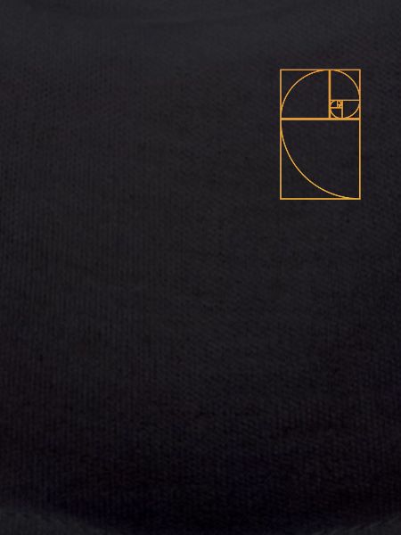 Fibonacci spiral golden section