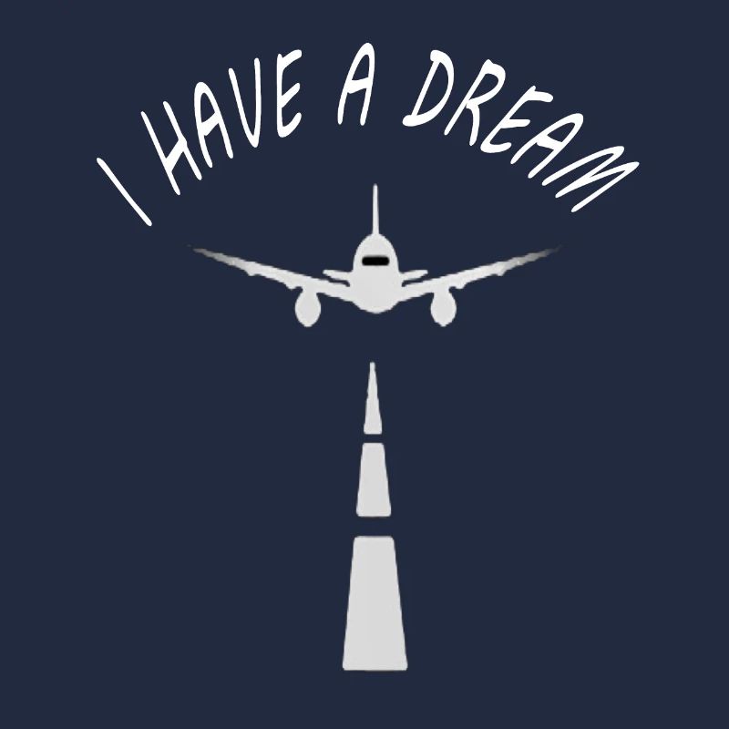 fly a plane