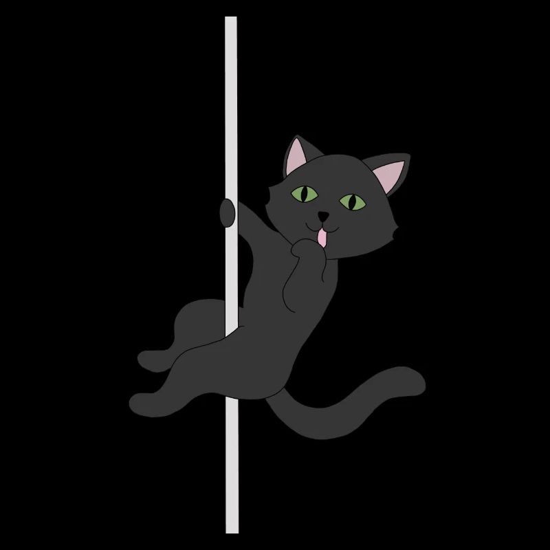 Black cat black cat pole dance meow