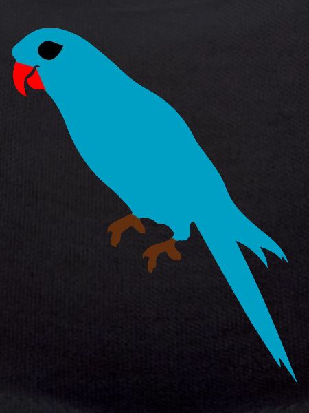 Budgie Parrot Budgerigar
