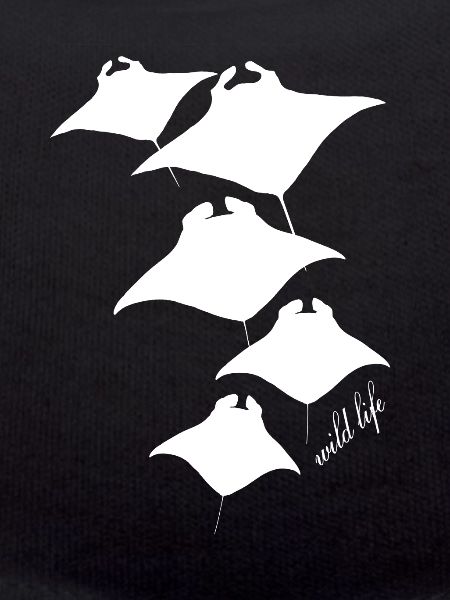 Rays Wildlife