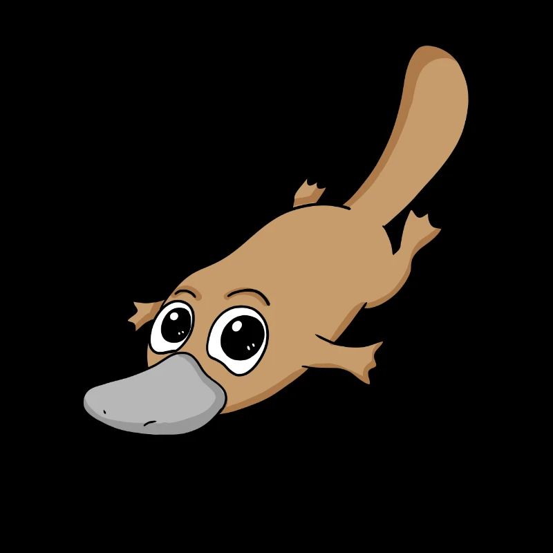 ornithorynque
