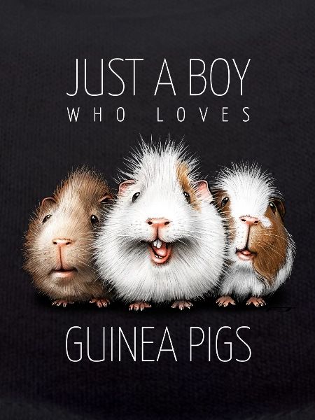 Guinea pig boy