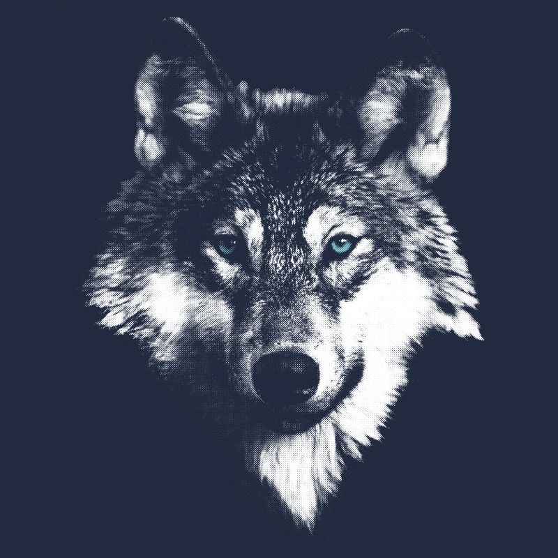 Wolf wolf head