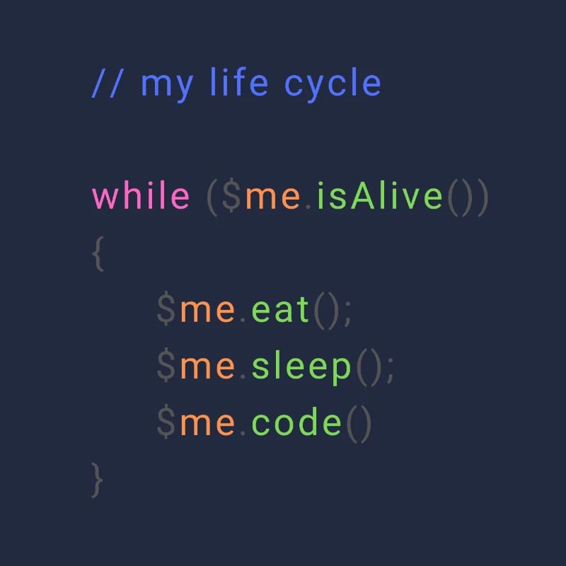 my life cycle dev