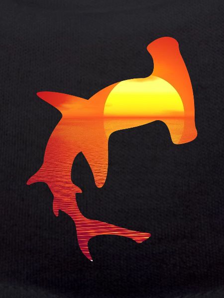hammerhead