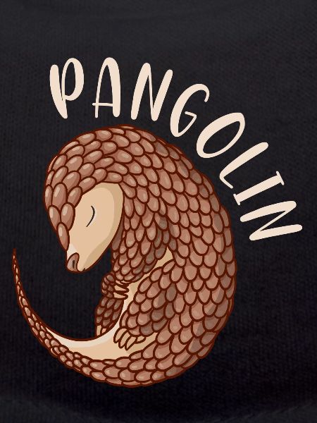 Pangolin pangolin sweet gift