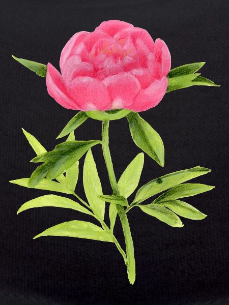 peony