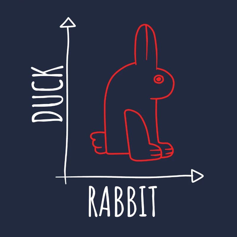 Optical Illusion Duck Rabbit Illusion Wittgenstein