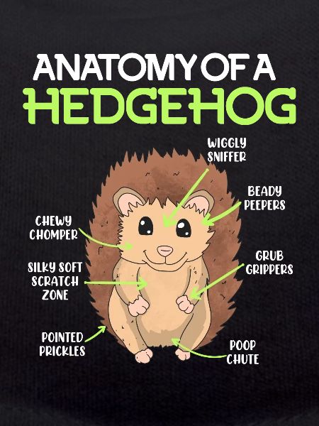 Anatomie d’un hérisson