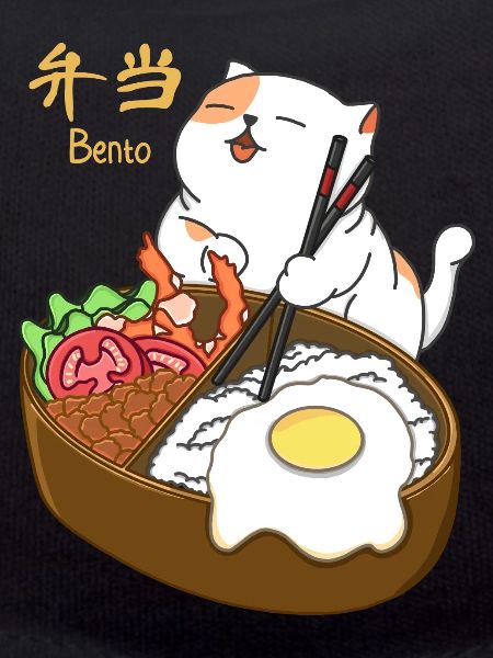 Cat and Bento