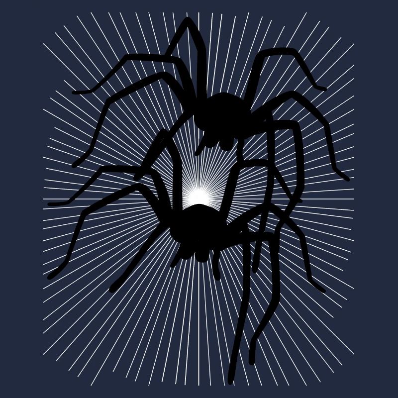 Spider Spiders Animals Crawling Disgust Horror