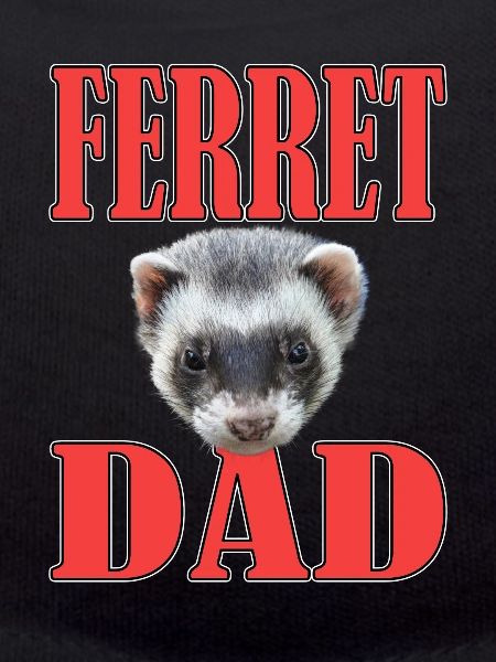 Furet Papa