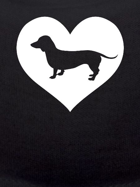 Dackel Dachshund