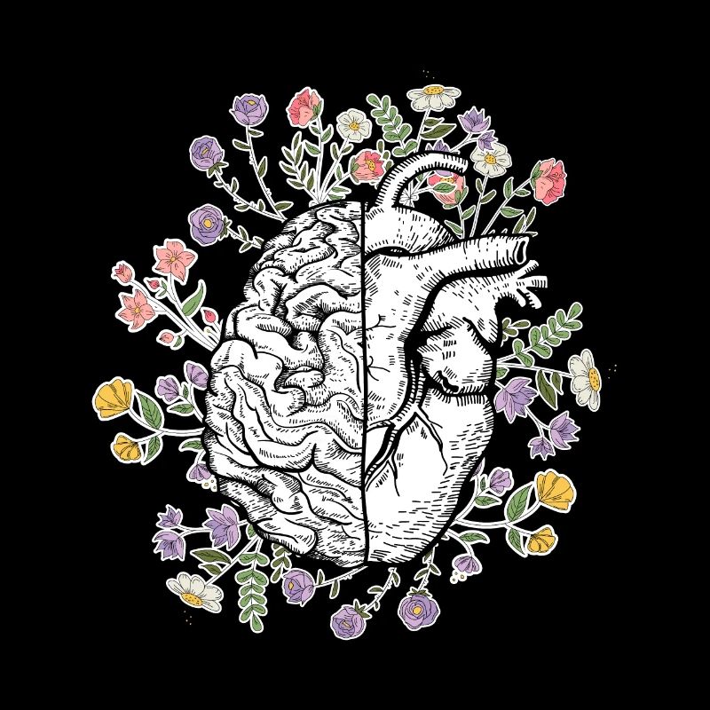 Kopf und Herz Anatomie des Gehirns