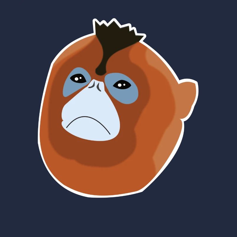 Stump-nosed monkey monkey monkey species