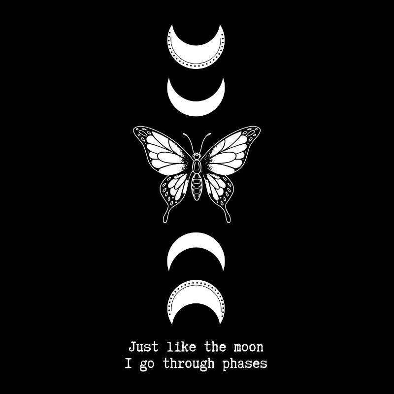 Monarch Butterfly Just Like The Moon