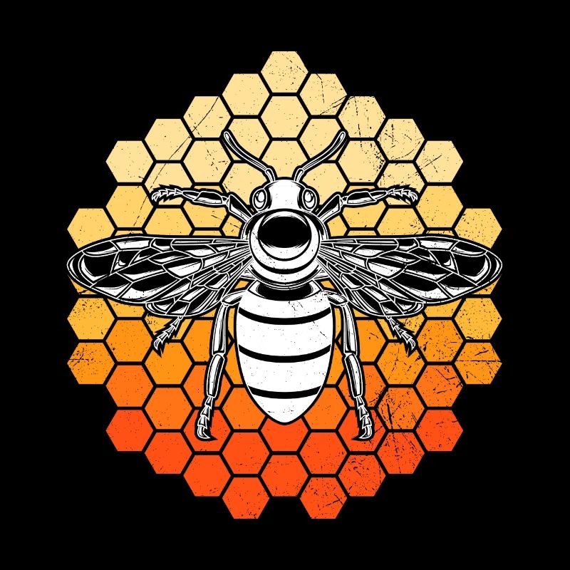 Bee on honeycombs Beekeeper
