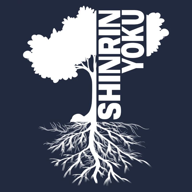 forest bathing forest meditation shinrin yoku