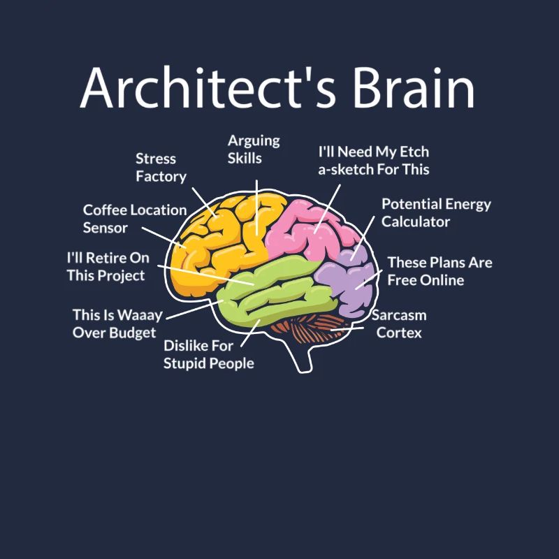 Architecte, Architecture, cerveau d’architecte