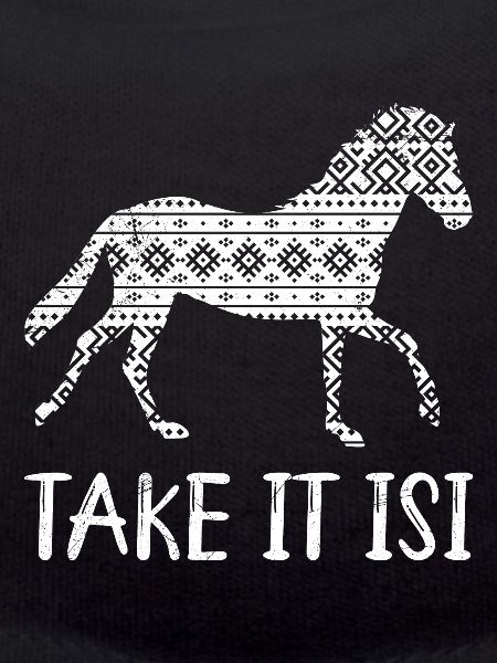 Take it Isi Isländer Pferd