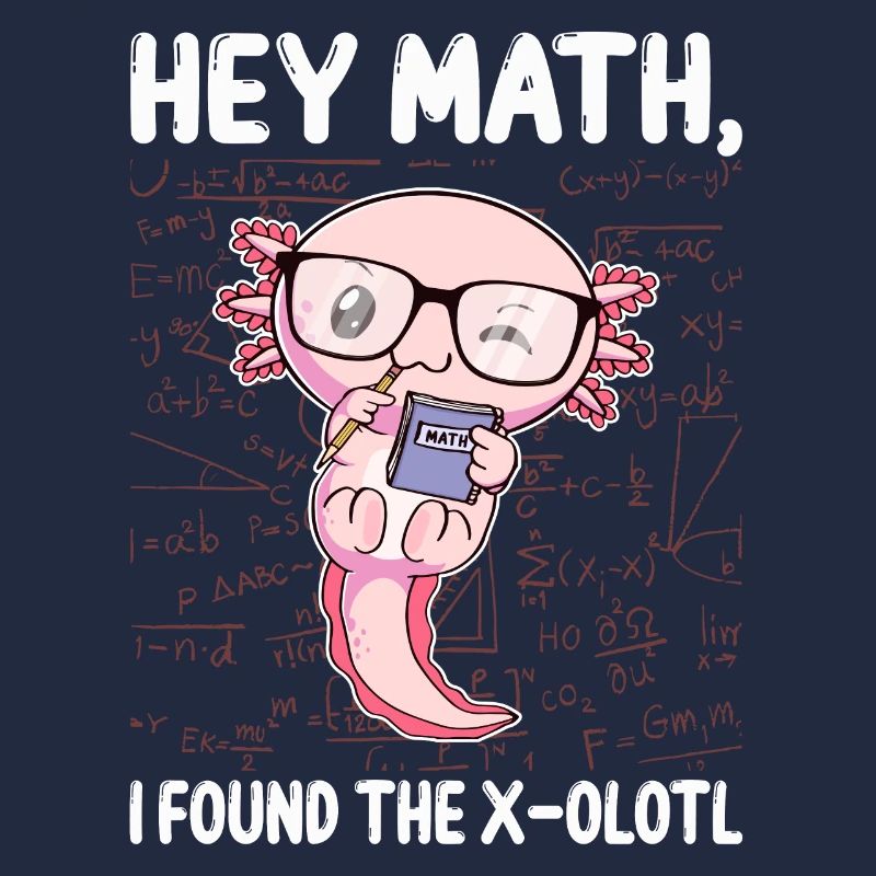 Funny Math Axolotl Math Gift