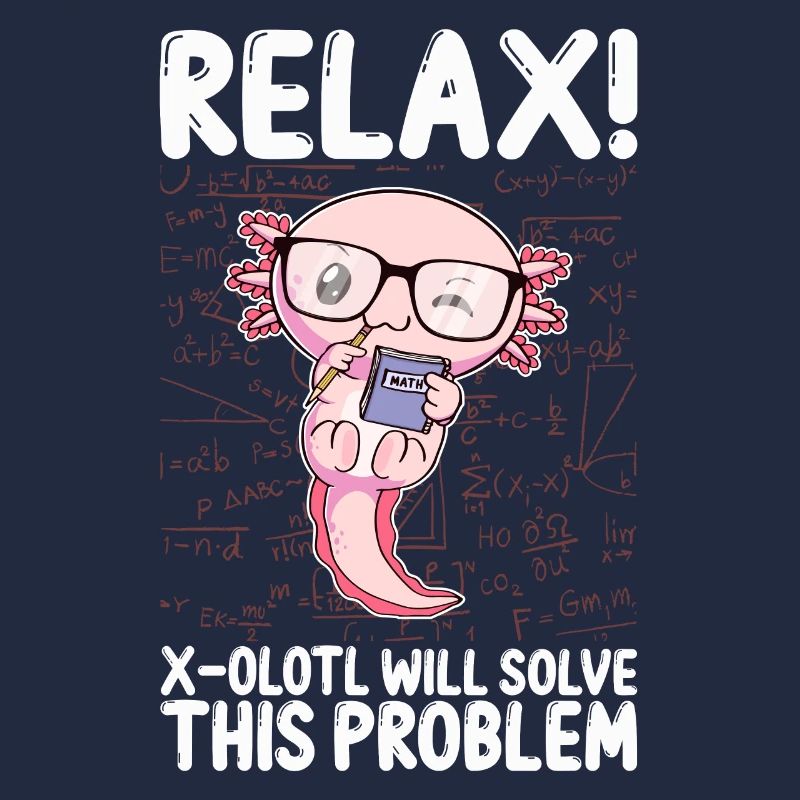 Funny Math Kawaii Axolotl Gift