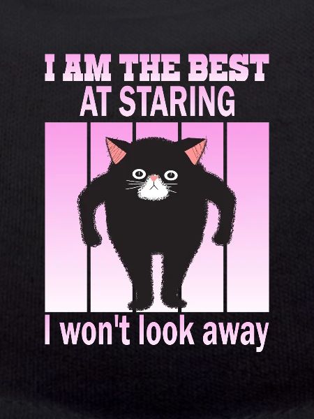 Staring Cat - Cats Staring