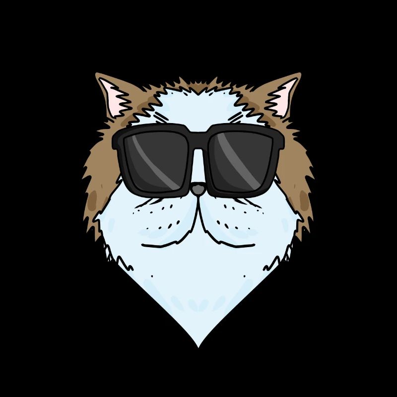 Coole Perserkatze Katzenrasse Katze