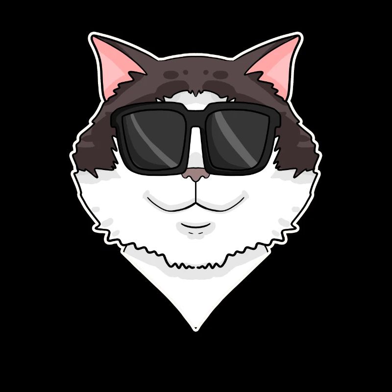 Ragdoll Cat