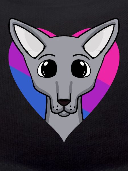Cadeau bisexuel Sphynx Cat