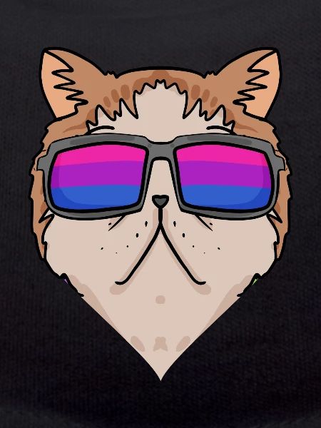 Bisexuell Exotische Kurzhaarkatze Katze Geschenk