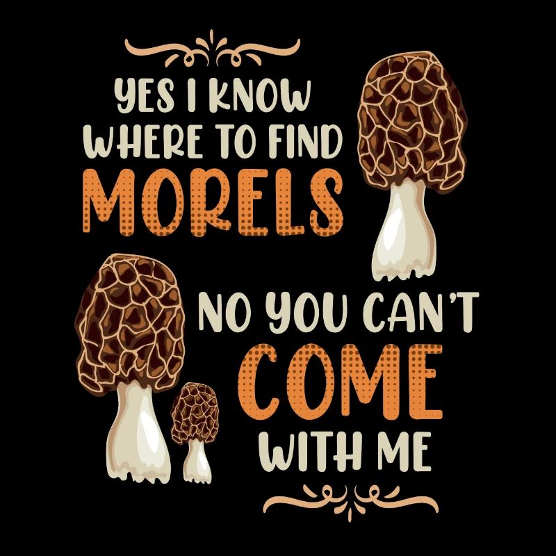 I know the best morel places