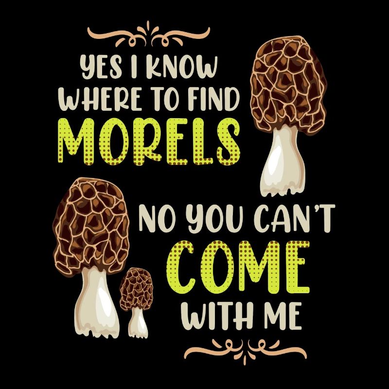 I know the best morel places