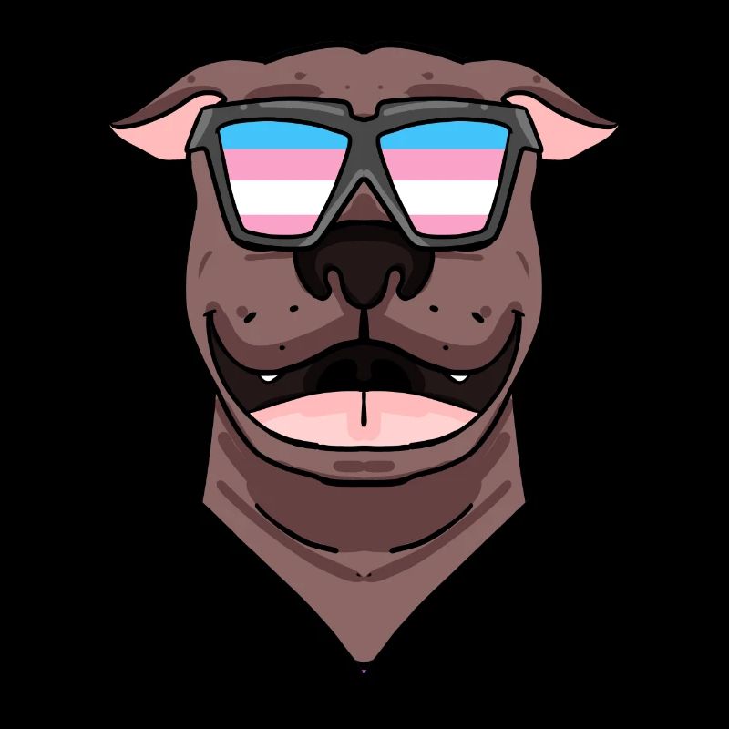 American Pit Bull Terrier