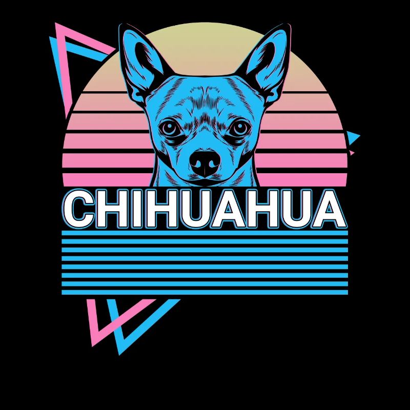 Chihuahua Rétro