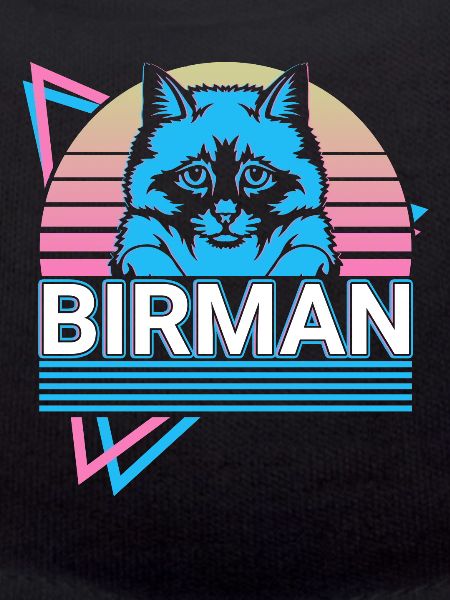 Chat birman Rétro