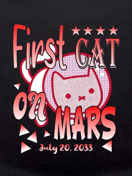 Premier chat sur Mars