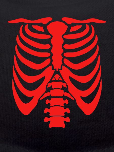 Halloween Costume Skeleton