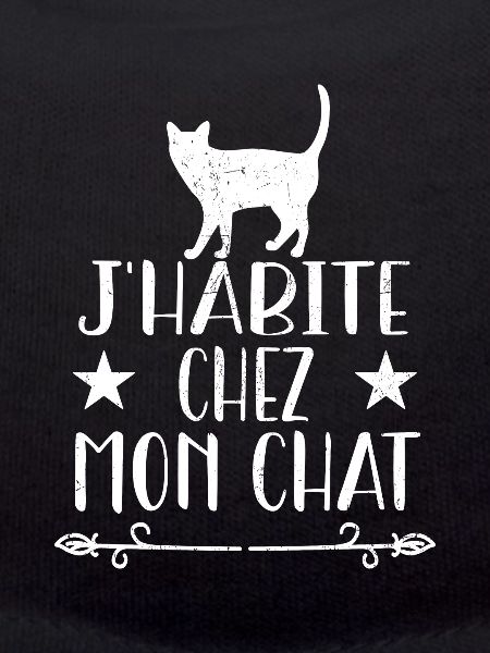 J'habite Chez Mon Chat