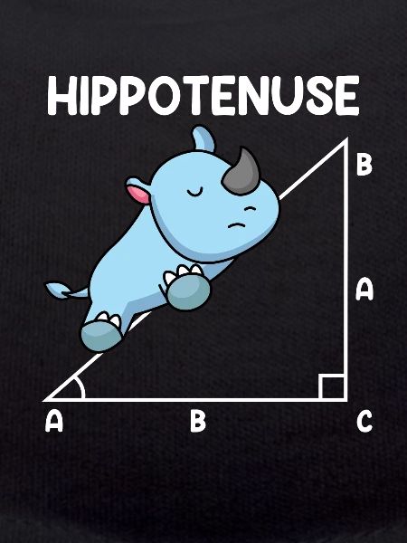 Hypotenuse Hippo Hippotenuse Math