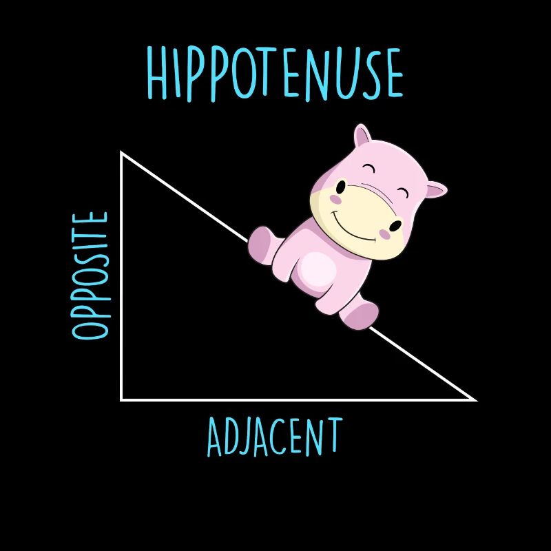 Hippotenuse Math Teacher