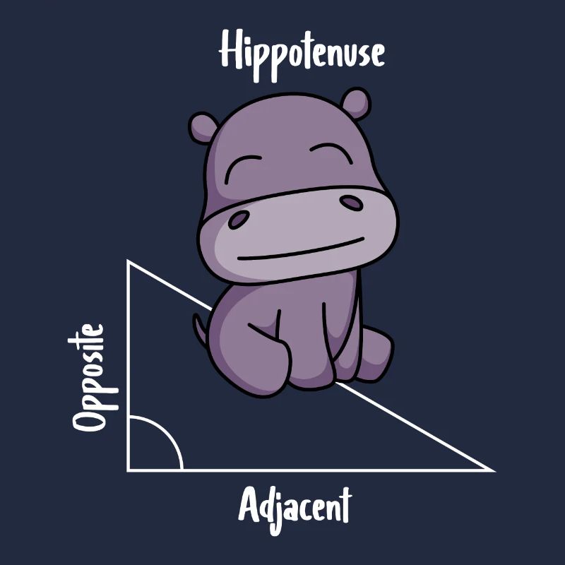 Hippotenuse Drôle Math