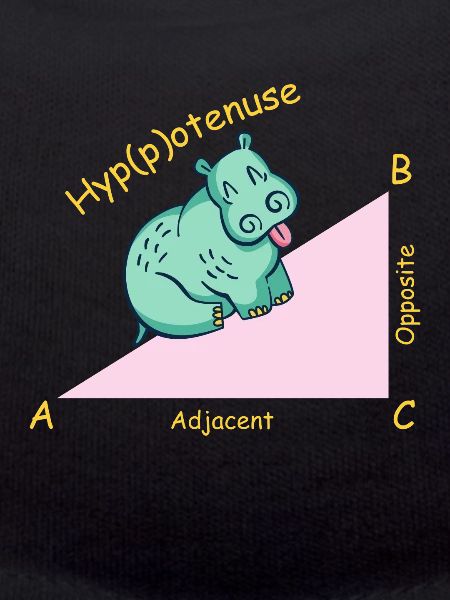 Math teacher mathematician Hippotenuse